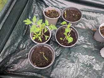 PXL_20250503_084751253