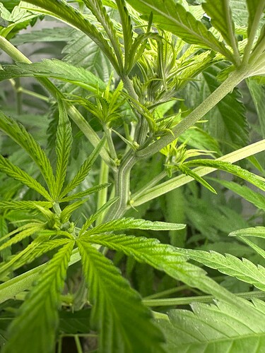 Growreport Bild 2