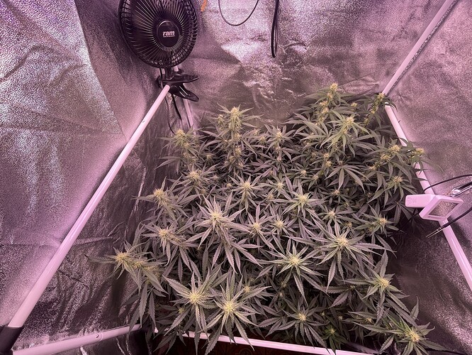 Growreport Bild 6