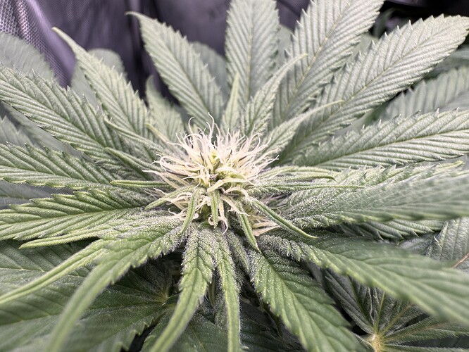 Growreport Bild 2