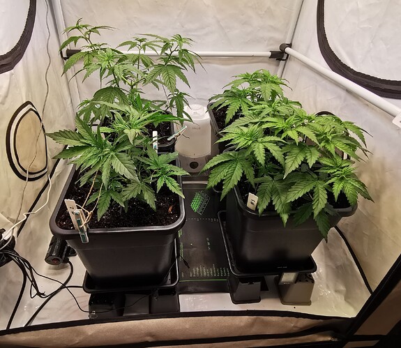 Growreport Bild 14