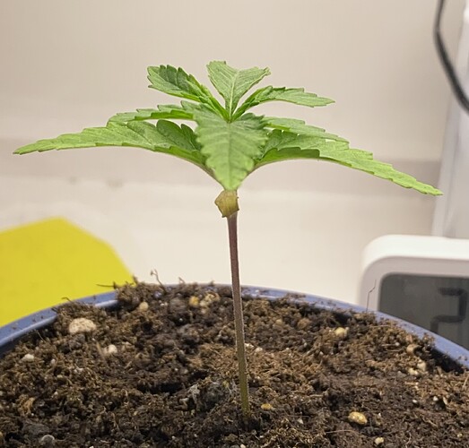 Growreport Bild 19