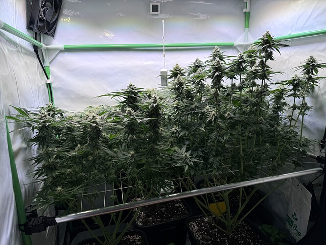 Growreport Bild 20