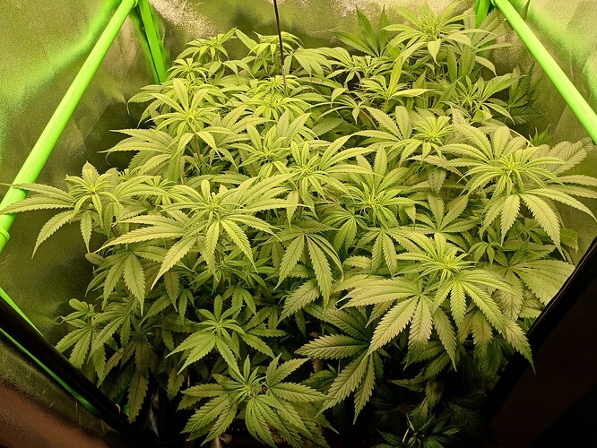 Growreport Bild 24