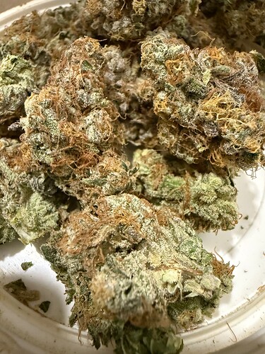 Growreport Bild 10