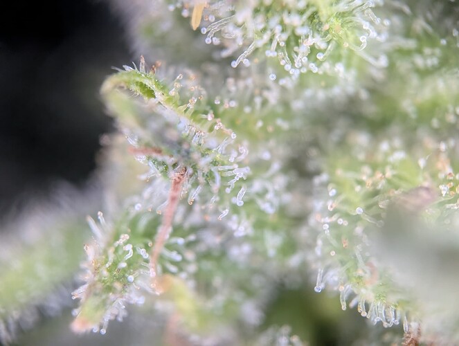 Growreport Bild 18