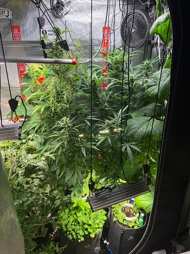 Growreport Bild 13