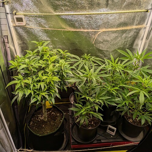Growreport Bild 9