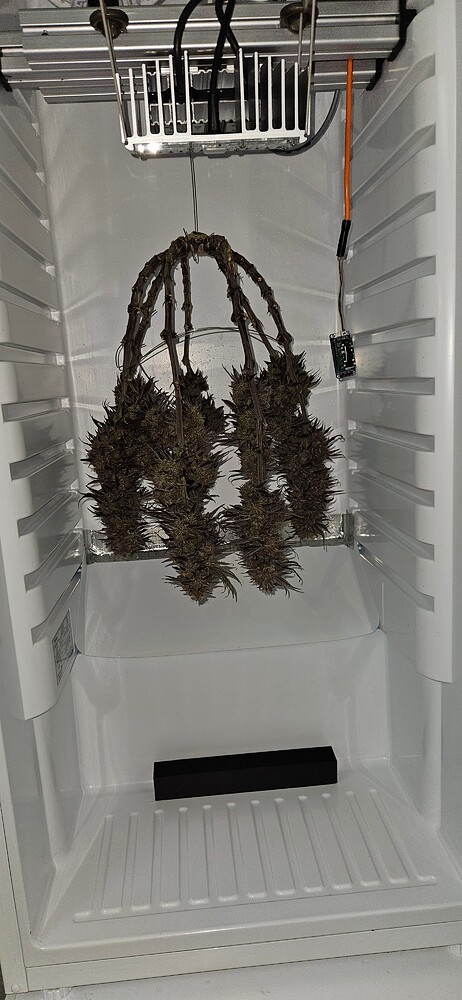 2. Grow im geschlossenen DIY-System