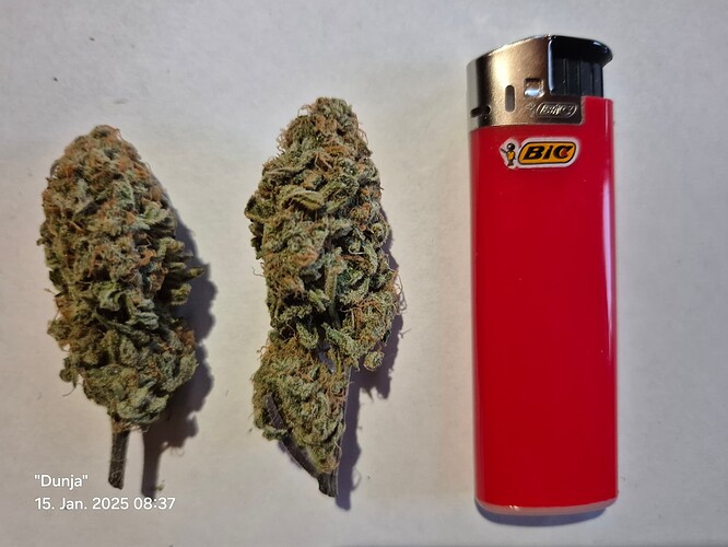 Growreport Bild 11