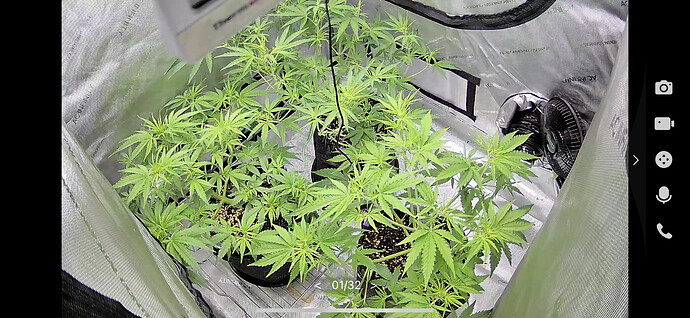 Growreport Bild 1