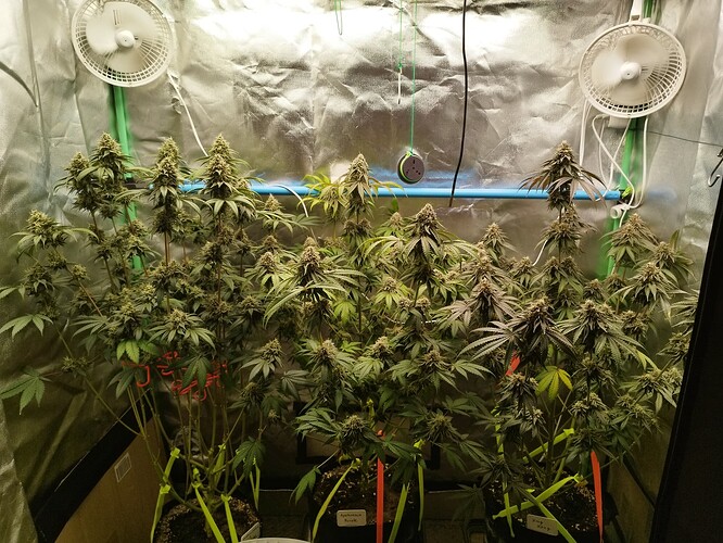 Growreport Bild 1