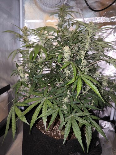 Growreport Bild 14