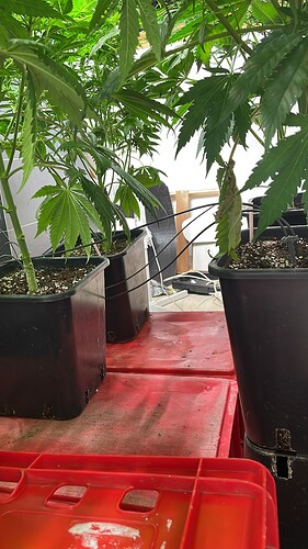Growreport Bild 11