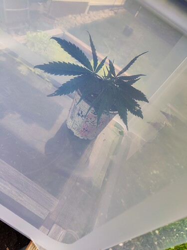 Growreport Bild 30