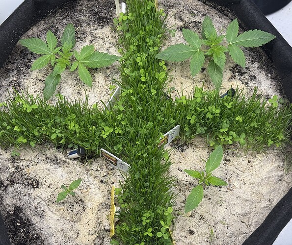 Growreport Bild 12