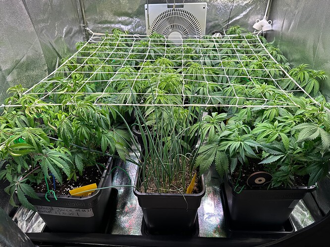 Growreport Bild 20