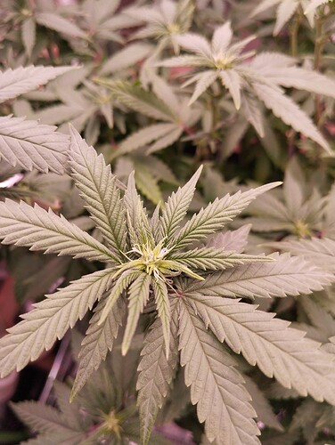 Growreport Bild 14