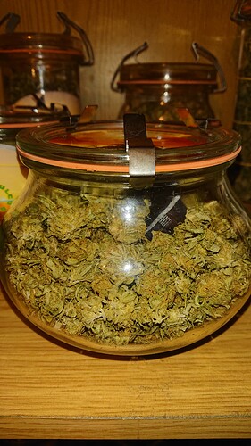 Growreport Bild 1