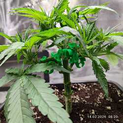 14.02. training rechts