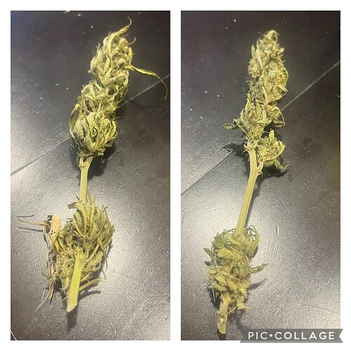 Growreport Bild 19