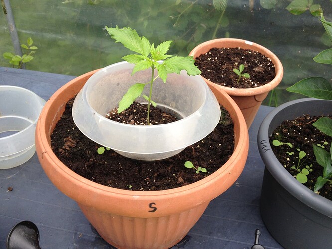 Growreport Bild 30