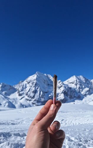 Growreport Bild 7