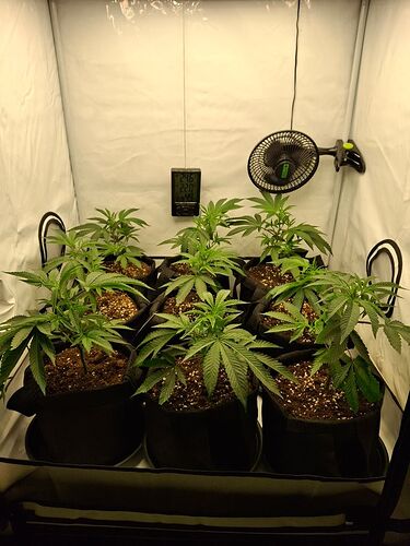 Growreport Bild 1