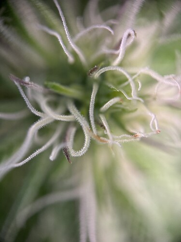 Growreport Bild 25