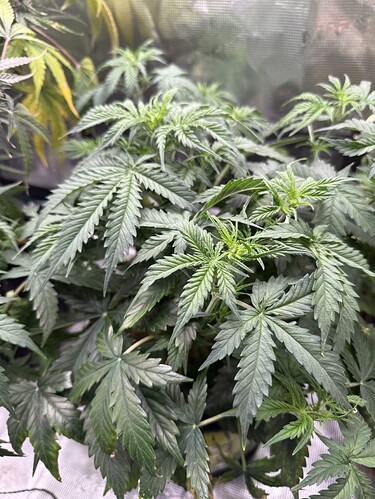 Growreport Bild 2