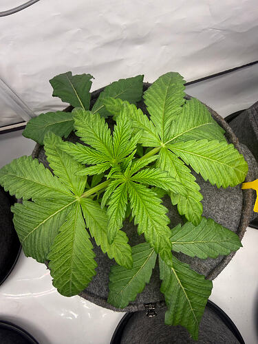 Growreport Bild 14