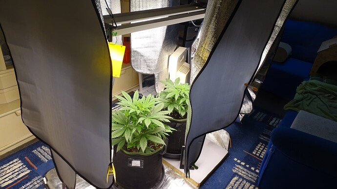 Growreport Bild 7