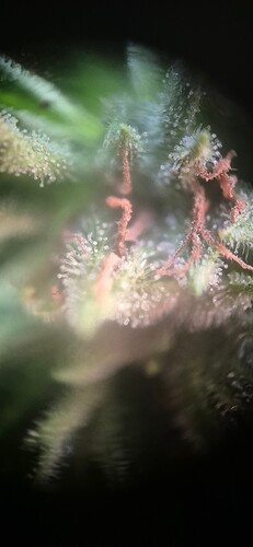 Growreport Bild 10