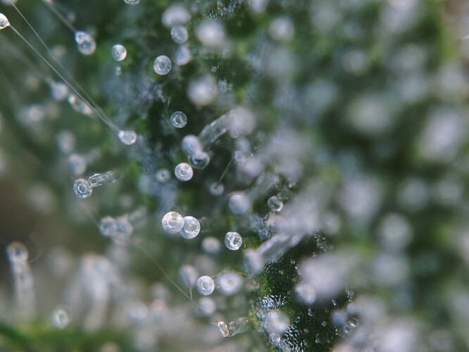 MVIMG_20251126_182212