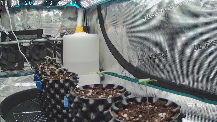 Growreport Bild 4