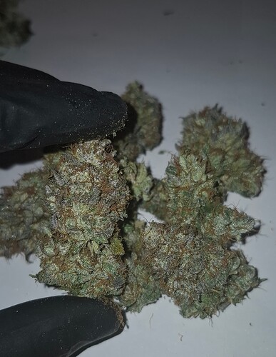 Growreport Bild 8