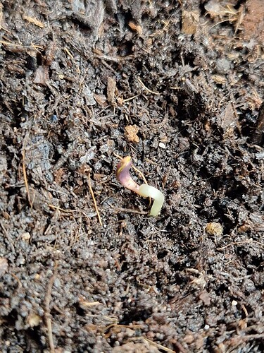 WhatsApp Image 2024-04-29 at 11.00.38