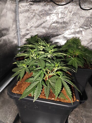 Growreport Bild 11