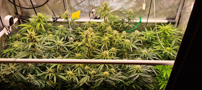 Growreport Bild 23