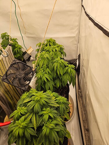 Growreport Bild 23