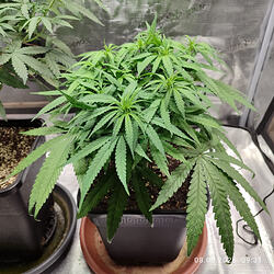 WhatsApp Image 2026-03-08 at 13.47.10 (1)