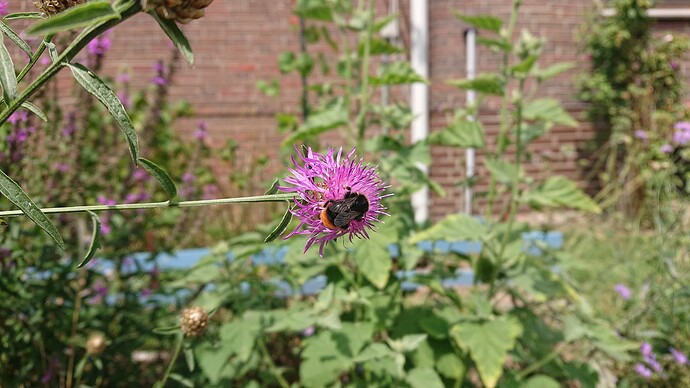 Growreport Bild 33