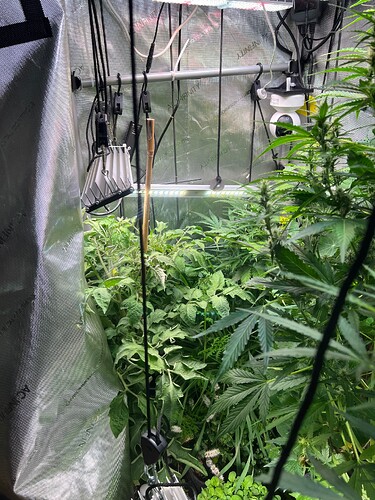 Growreport Bild 54