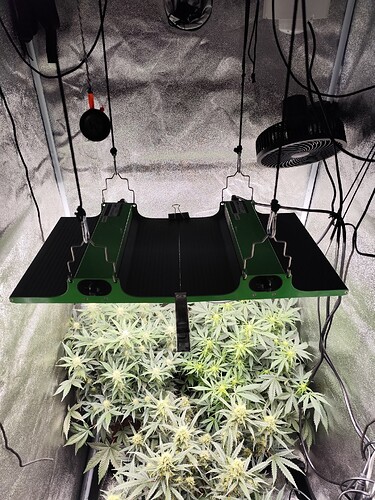 Growreport Bild 7