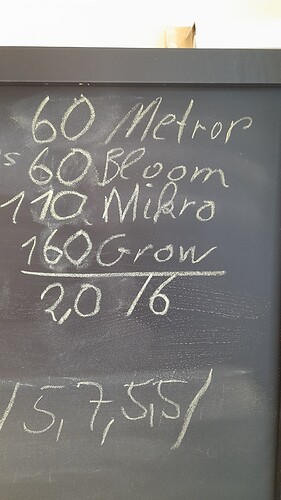 20240807_175437