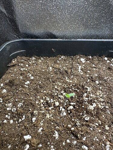 Growreport Bild 7