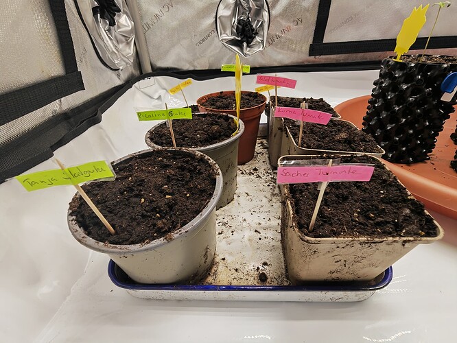 Growreport Bild 8