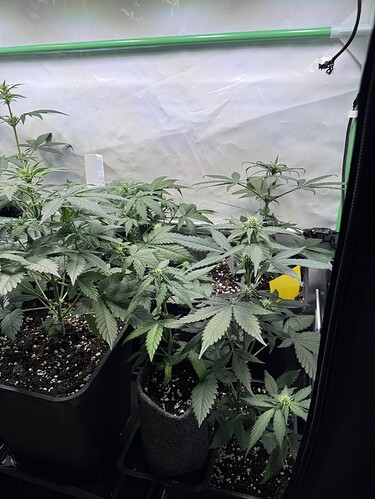 Growreport Bild 22
