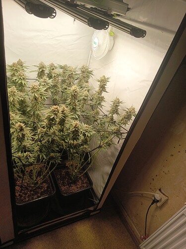 Growreport Bild 23