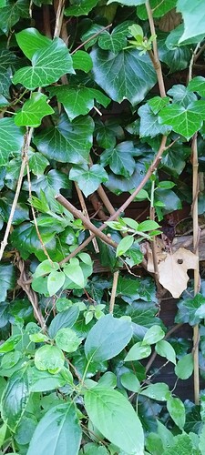 IMG_20240527_190723